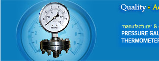 industrial pressure gauges, digital pressure gauges, pressure gauges manufacturer