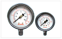 Stainless Steel Pressure Gauges